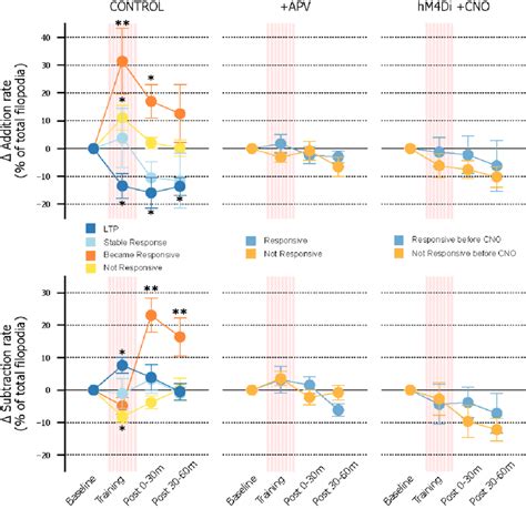 Visually Evoked Activity Patterns Determine Structural Plasticity Mean