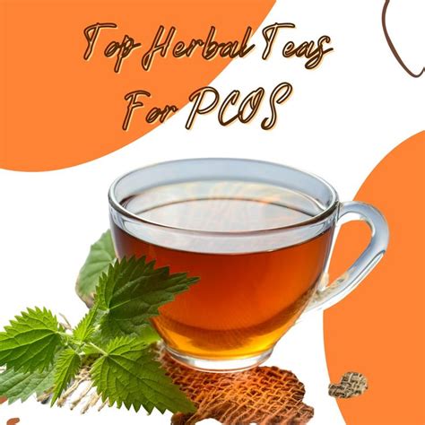 Do You Know The Top Herbal Teas For Pcos Check Out These Teas That