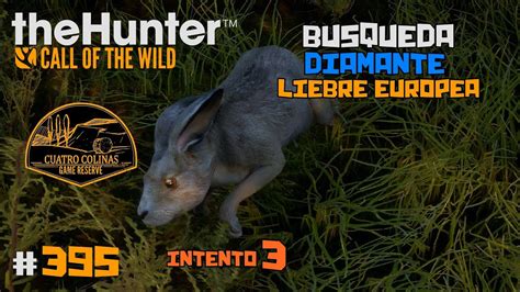 TheHunter Call Of The Wild 395 EN BUSCA DEL DIAMANTE DE LIEBRE