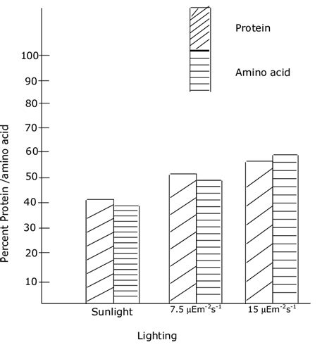 Total Protein And Amino Acid Concentration In Spirulina Sp Under