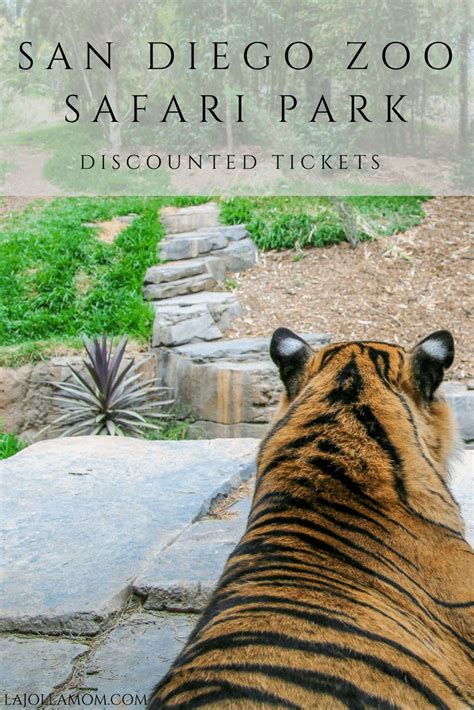 How to Buy Discount San Diego Zoo Safari Park Tickets: 17 Cheaper Ways ...