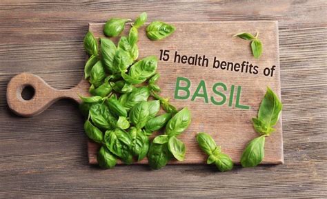 15 Health Benefits of Basil and How to Use it (with Recipes!)