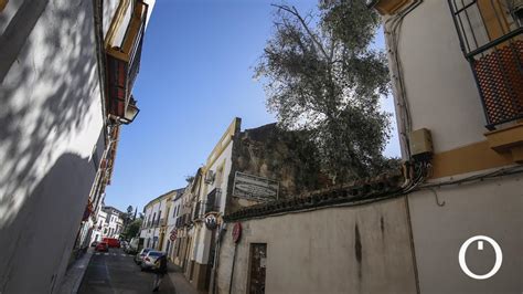 La Lucha De Unos Vecinos De C Rdoba Por Cortar Un Rbol Invasor De Un