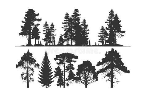 Set Silhouette Of Pine Trees Vector Illustration Desing Stock