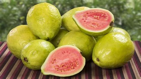 Cu Les Son Los Beneficios De La Guayaba En El Cuerpo