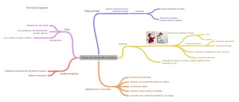 Etapas Del Desarrollo Evolutivo Mindmap Voorbeeld Porn Sex Picture