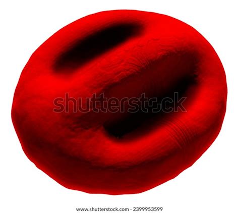 Knizocyte Abnormal Red Blood Cell Digital Stock Illustration 2399953599 ...