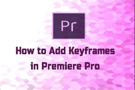 The Complete Guide On How To Add Add Shapes In Premiere Pro