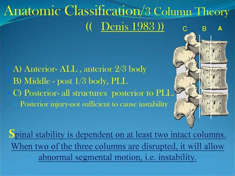 Thoraco Lumbar Spine Fractures And Dislocations Ppt Download