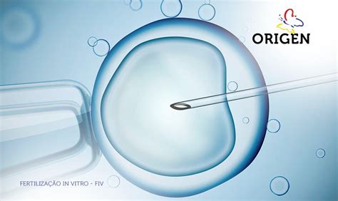 O Que Preparo Seminal Cl Nica Origen Fertiliza O In Vitro