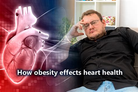 Understanding How Obesity Effects On Heart Health