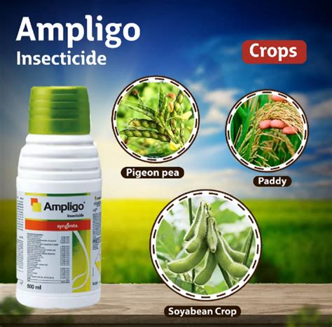 Liquid 80ml Ampligo Syngenta Insecticide At Rs 720 Kg In Solan ID