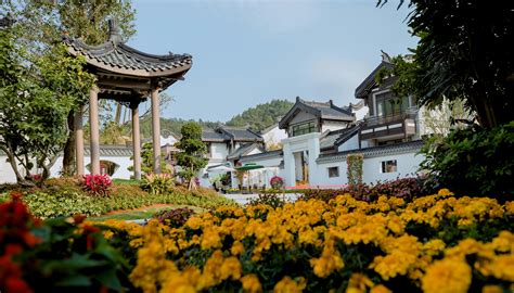 East Asian Culture