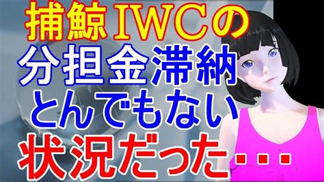 日本が脱退した国際捕鯨委員会 Iwc で分担金に関する新たな事実 Youtube