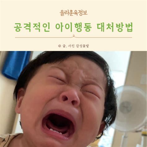 물건 던지는 아이 16개월 17개월 18개월 공격성 돌아기 훈육 대처하는 방법 네이버 블로그