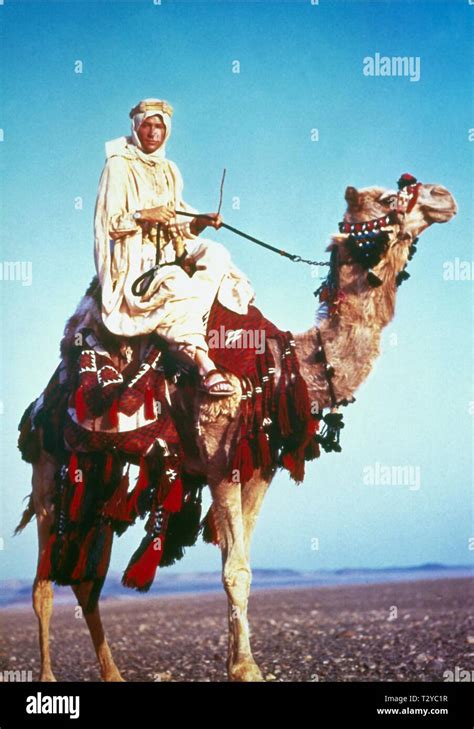 Lawrence Of Arabia Film Still Hi Res Stock Photography And Images Alamy