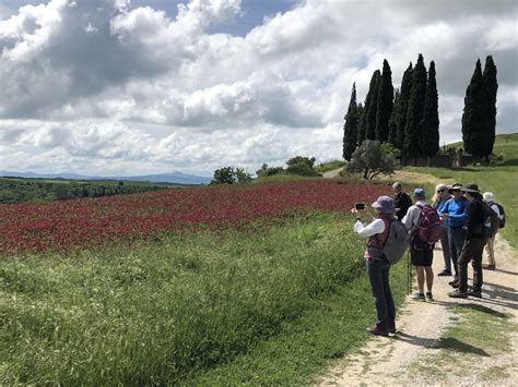 May 14 23 Italy Tuscany And Umbria Country Walkers