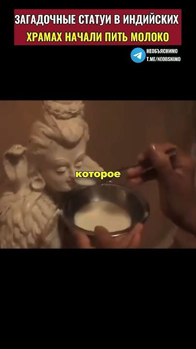 Молочное чудо, в индийских храмах многие статуи начали пить молоко ...