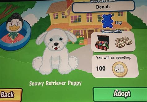 What Did Everyone Name Their Snowy Retriever Puppies Rwebkinz