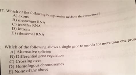 Solved Which of the following brings amino acids to the | Chegg.com 