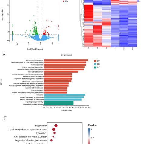 Transcriptome Sequencing Analysis A Intersample Correlation B