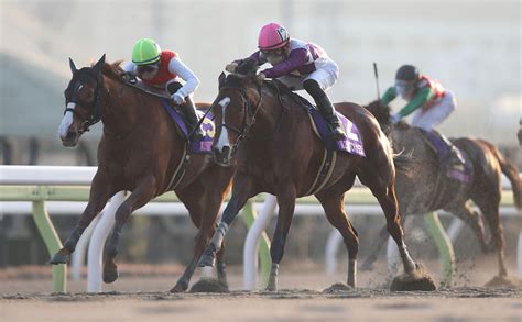 【tck女王盃予想】有利な枠順は？ 過去10年の枠番・馬番の成績競馬予想データ 競馬まとめ Netkeiba