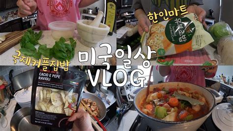 🇺🇸미국일상 Vlog👩🏻‍🍳한인마트 장보기 하울 바질 캐슈 페스토 만들기 트레이더조 라비올리 페스토 파스타 마녀스프