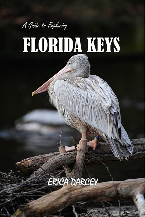 A Guide To Exploring The FLORIDA KEYS 2024 2025 Uncover Paradise Dive