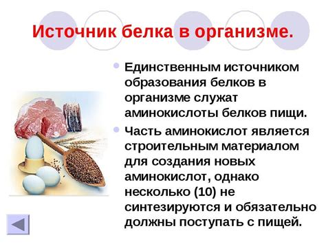 Белок в бодибилдинге: виды, строение, функции, роль все от А до Я!