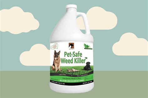 Weed Killer Pet Safe Discount | cityofclovis.org