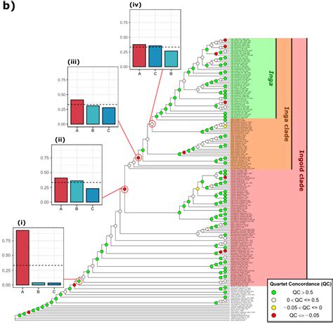 B Inga Outgroup Astral Tree With Qc Values Plotted On Each Node Nodes