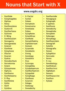 Nouns That Start With X All Types And Pictures Engdic