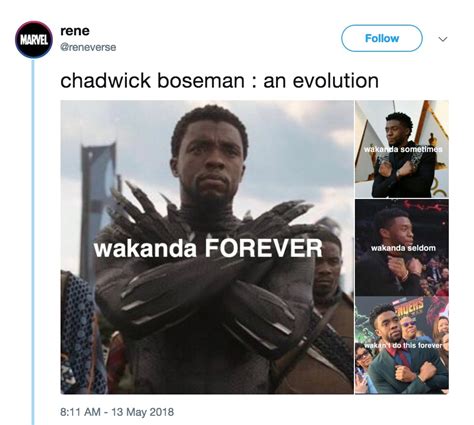 The Best Black Panther Memes From Wakanda Forever To Hey Auntie