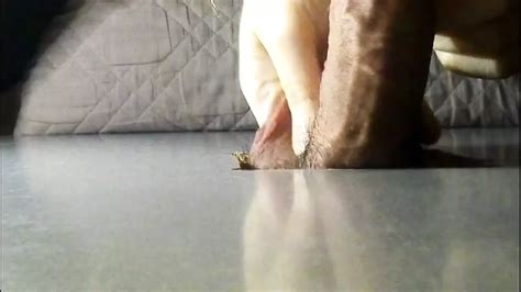 Free BBW Gloryhole Porn Videos XHamster