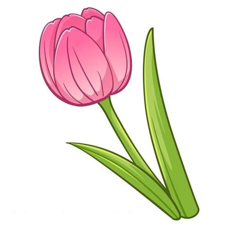 Estilo De Dibujos Animados De Tulip N