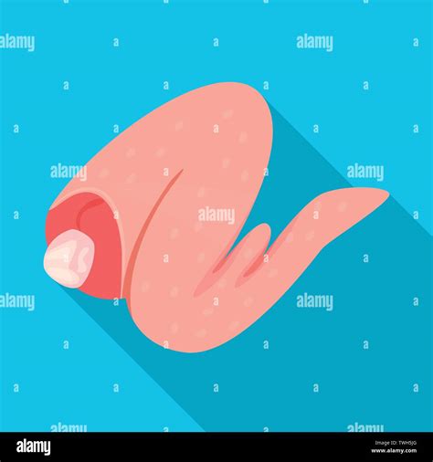 Vector Vectors Stock Vector Image And Art Alamy