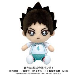 Haikyuu Iwaizumi Hajime Chibi Nuigurumi Bandai Sunrise