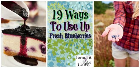 13 Simple Ways To Stay Hydrated This Summer Farm Fit Living