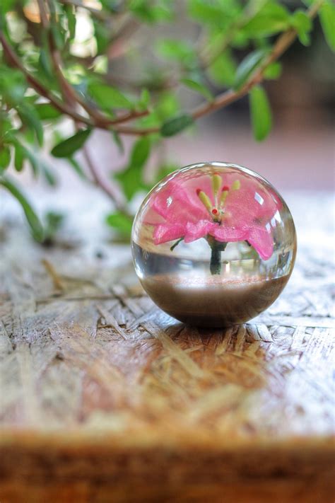 Flower Shift Knob Gear Knob Japanese Style 60mm Flower In The Water