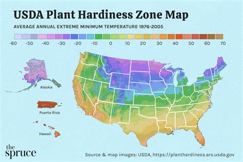 Us Planting Zones By State