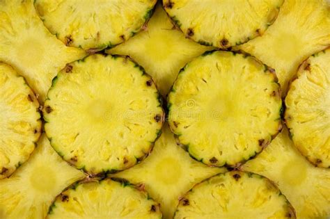 Cut slices of pineapple stock photo. Image of pineapple - 71963514