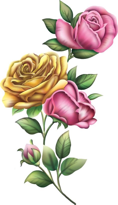 Two Pink And Yellow Roses With Green Leaves On White Background