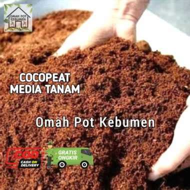 Jual Coco Fiber Sabut Kelapa 1 Kg Original Murah Harga Diskon Maret