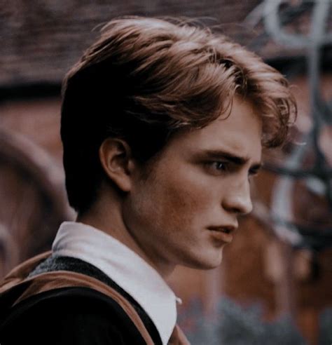 Pin By Katarina Lukic On I Wish Cedric Diggory Cedric Diggory