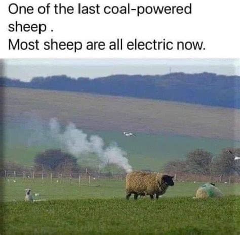 Beep Beep I’m A Sheep 9gag