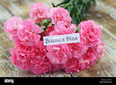 Buenos Dias (Good morning in Spanish) card with pink carnations Stock Photo: 87510151 - Alamy