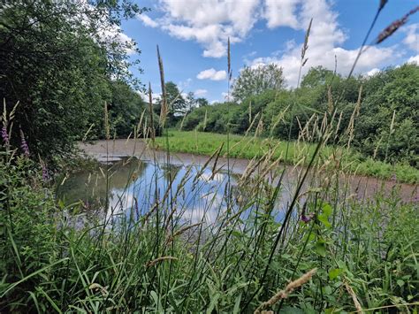 Severn Farm Pond Nature Reserve. - NatSol