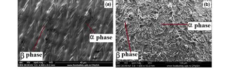 Microstructures Of SLM Ti 6Al 4V A And Wrought Ti 6Al 4V B Alloys