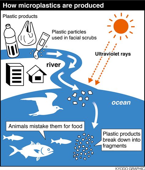 Plastic debris in oceans a growing hazard as toxins climb the food chain