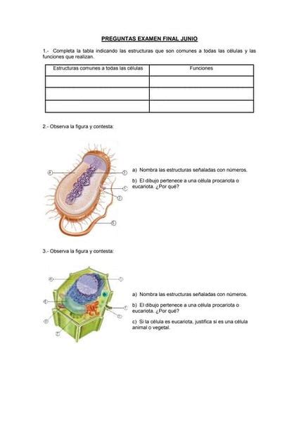 Actividades Estequiometria Y Quimica Del Carbono